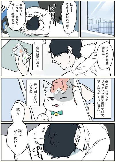 猫になりたい…