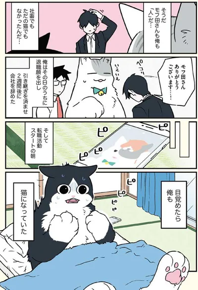 目覚めたら俺も猫になっていた