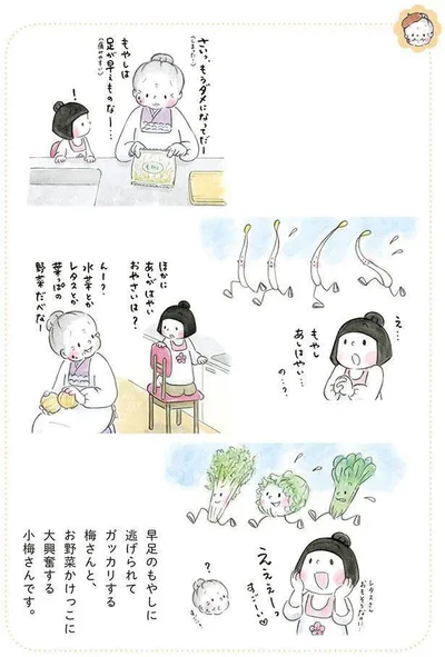 もやしは足が早ぇものなー…