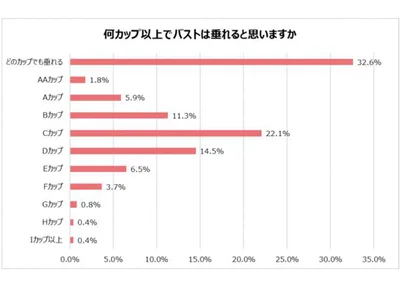 何カップ以上でバストは垂れると思いますか