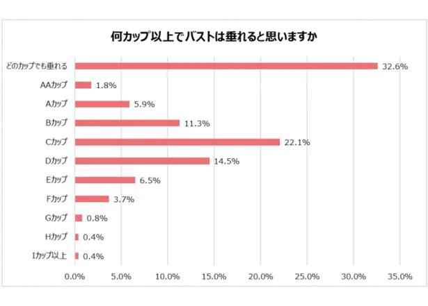 何カップ以上でバストは垂れると思いますか