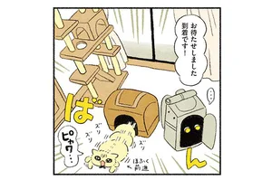 7年務めた職場を円満退職！ 引っ越し先で愛猫との新しい生活が始まります／茶トラのやっちゃんとちーちゃん ベンガルのももちゃんもやってきた！（3）