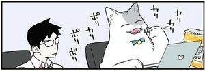 猫缶？カリカリ？？ 提案された食事に猫になった現実を受け止めきれない／ブラック企業の社員が猫になって人生が変わった話3（ハチ谷くんと時々モフ田くんの場合）（5）