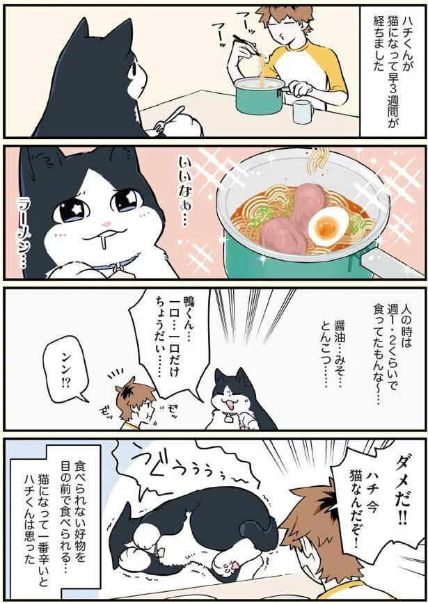 ダメだ！！ハチ今猫なんだぞ！