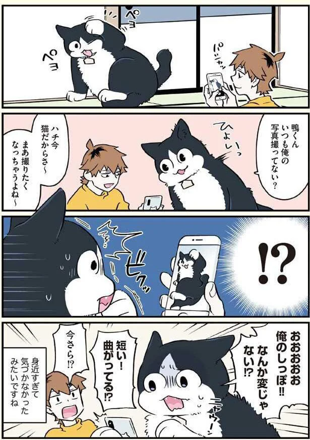 俺のしっぽ！！なんか変じゃない！？