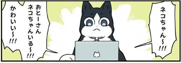 ねこいる~!