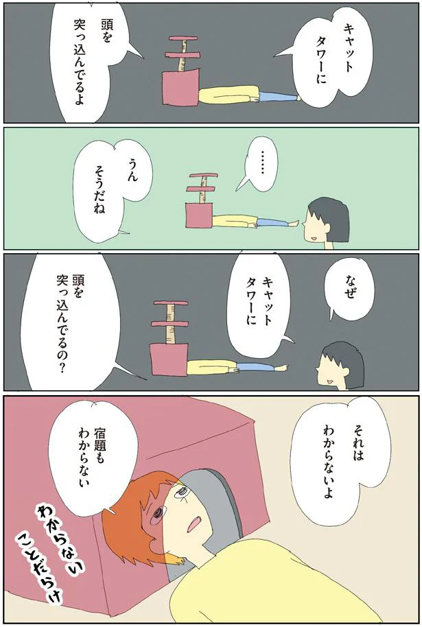 わからないことだらけ