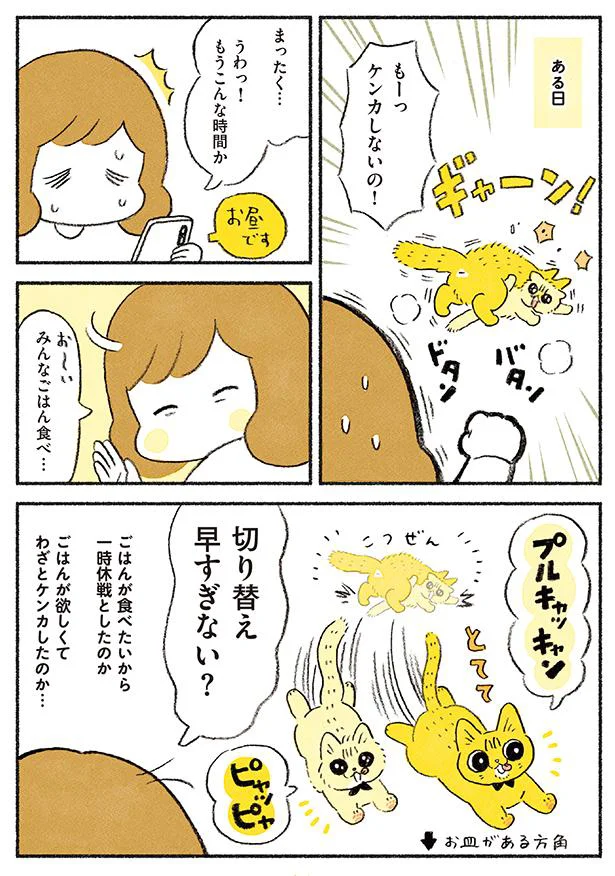 もー！ケンカしないの！