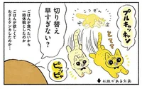 ケンカの絶えない愛猫2匹でしたが、今では一緒にいるのが当たり前です！／茶トラのやっちゃんとちーちゃん ベンガルのももちゃんもやってきた！（1）