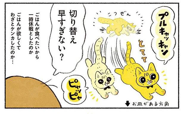 切り替え早すぎない？