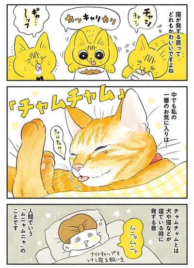 猫が発する音、チャムチャム