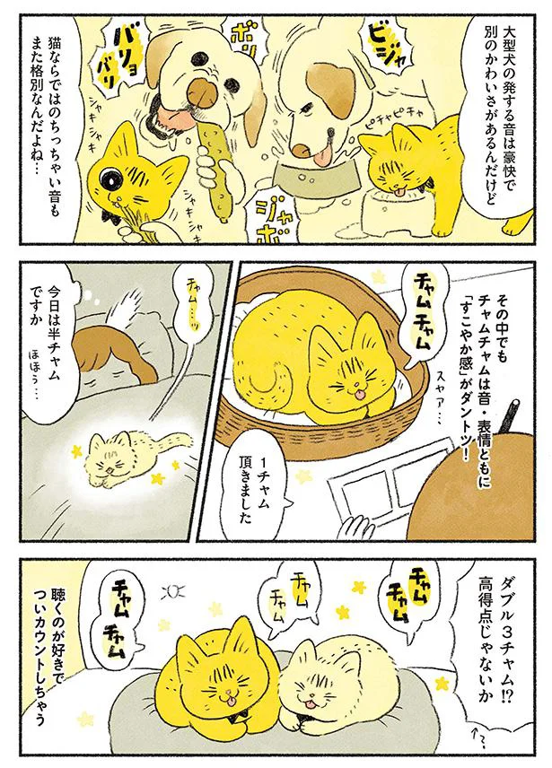 「すこやか感」ダントツのチャムチャム