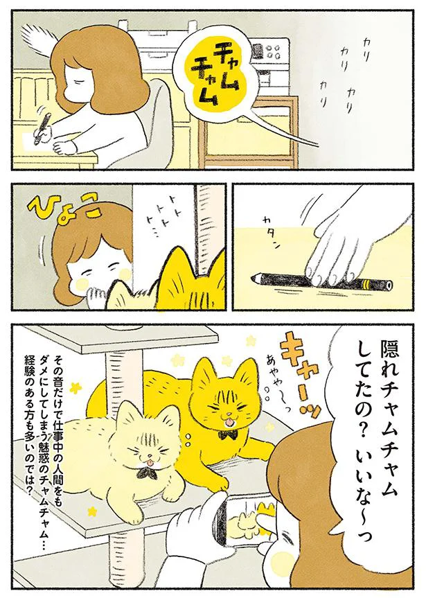 魅惑のチャムチャム