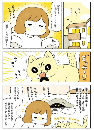 元気がないやっちゃん