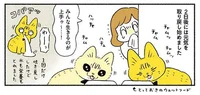 愛猫たちよ、生きるのがお上手！ 引っ越し先での適応力に感動／茶トラのやっちゃんとちーちゃん ベンガルのももちゃんもやってきた！（4）