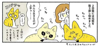 生きるのが上手ゥ〜…！