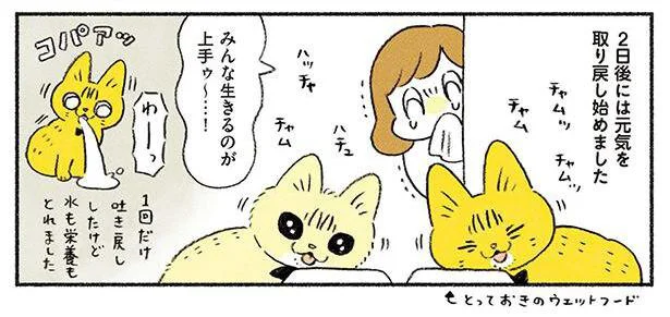 生きるのが上手ゥ〜…！