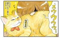 新生活バンザイ！ 猫をいつでも吸える環境が幸せすぎる／茶トラのやっちゃんとちーちゃん ベンガルのももちゃんもやってきた！（5）