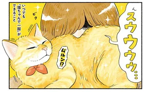 新生活バンザイ！ 猫をいつでも吸える環境が幸せすぎる／茶トラのやっちゃんとちーちゃん ベンガルのももちゃんもやってきた！（5）