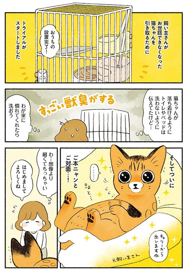 ついにご本ニャンとご対面…！