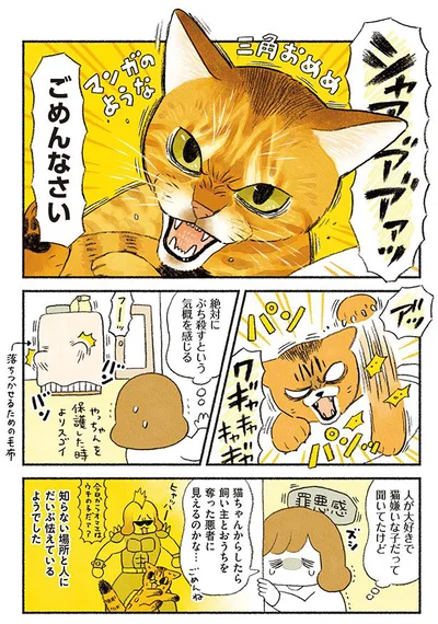 知らない人と場所に怯える猫ちゃん