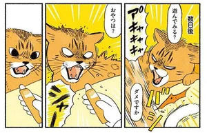 おやつってすごい。威嚇しまくりの新たな猫を懐柔しました／茶トラのやっちゃんとちーちゃん ベンガルのももちゃんもやってきた！（8）