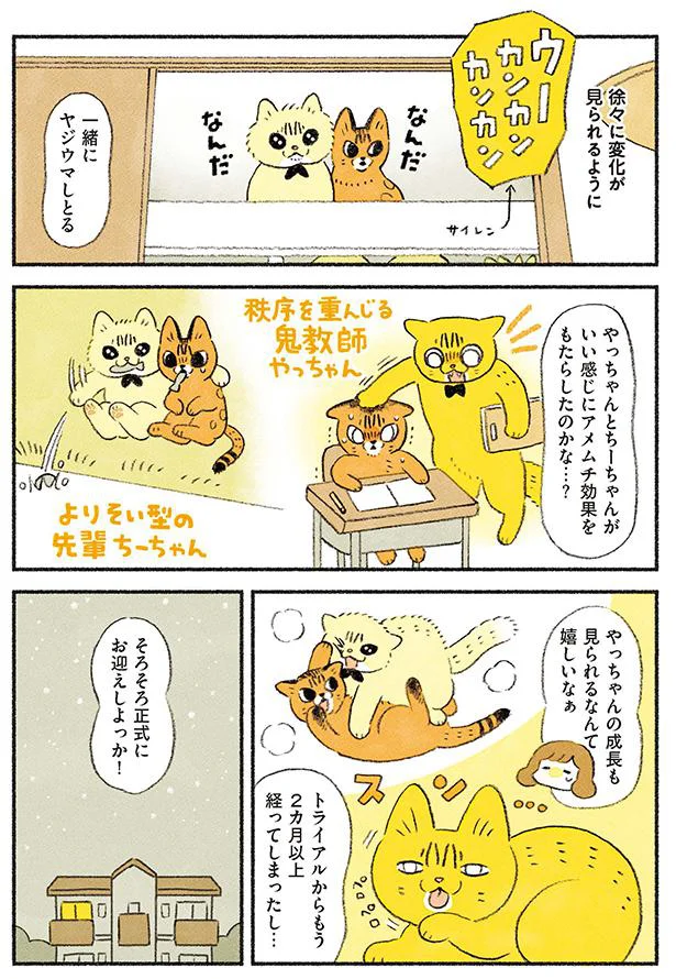 そろそろ正式にお迎えしよっか！