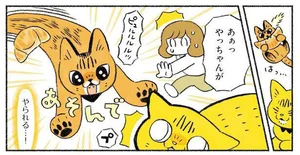 一向に疲れる気配がない!? 想像以上のベンガルパワーにびっくり／茶トラのやっちゃんとちーちゃん ベンガルのももちゃんもやってきた！（10）