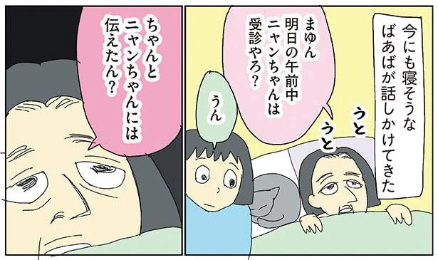 ちゃんとニャンちゃんには伝えたん？