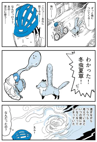 わかった！冬虫夏草！