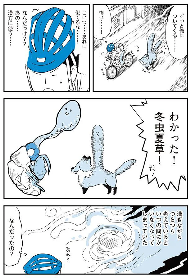 わかった！冬虫夏草！