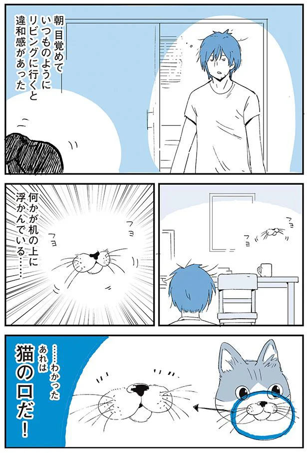 …わかったあれは猫の口だ！