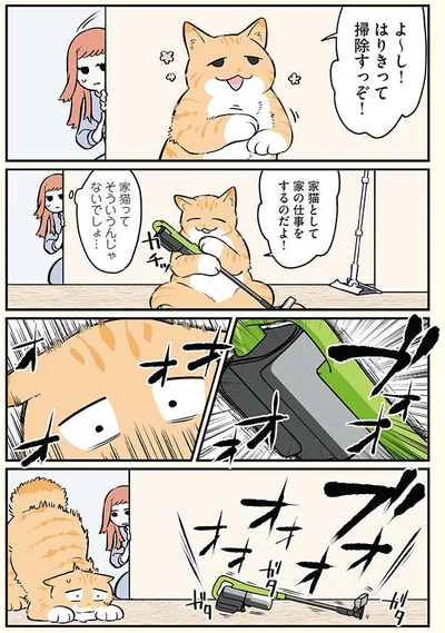 家猫として　家の仕事をするのだよ！