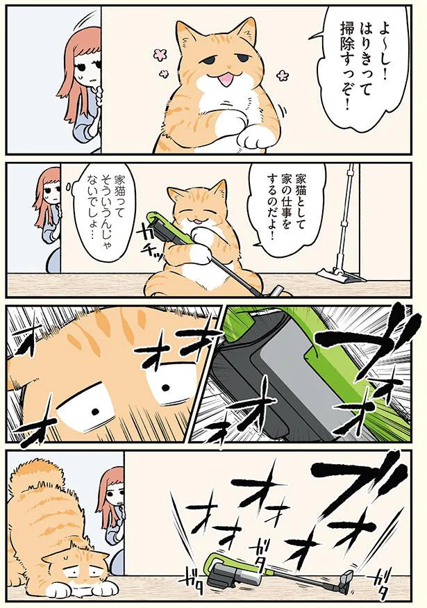 家猫として　家の仕事をするのだよ！