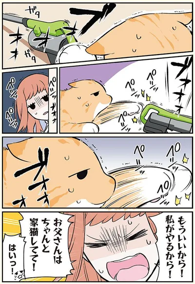 お父さんはちゃんと家猫してて！