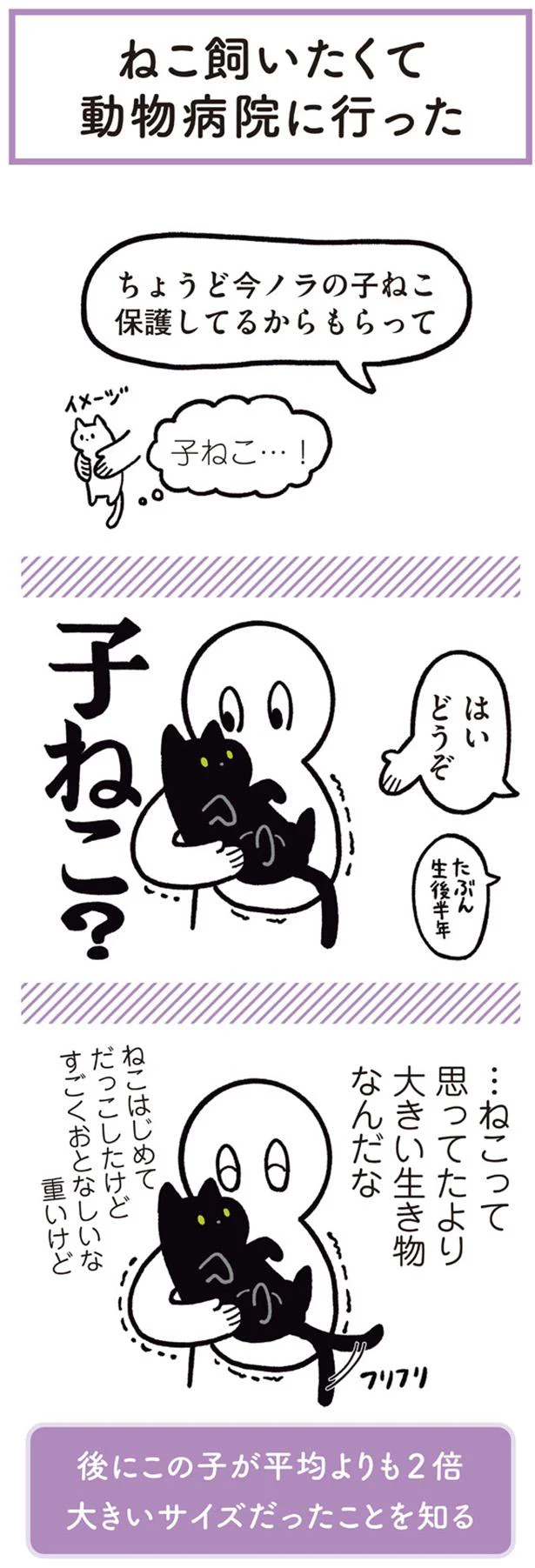 子ねこ？