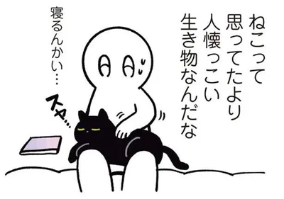 ねこって思ってたより人懐っこい生き物なんだな