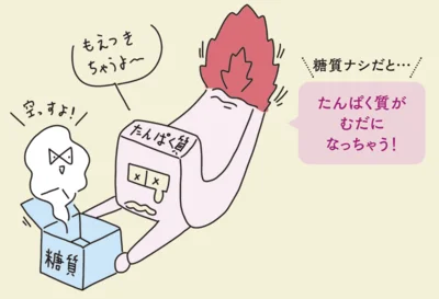 糖質がないとたんぱく質がむだになってしまう。