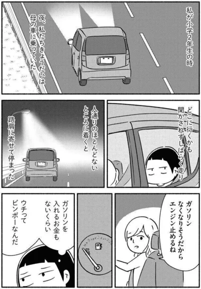 夜、母の車に乗っていた