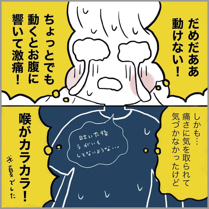 生理痛・卵巣のう腫破裂がしんどすぎて出産が○○だった話 卵巣破裂編 第8話 03