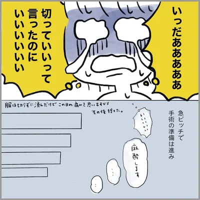 生理痛・卵巣のう腫破裂がしんどすぎて出産が○○だった話 卵巣破裂編 第10話 06