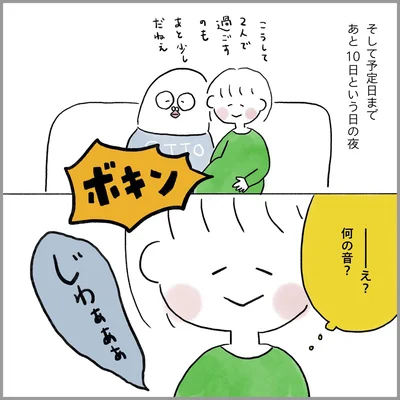 生理痛・卵巣のう腫破裂がしんどすぎて出産が○○だった話 妊娠編 第17話 06