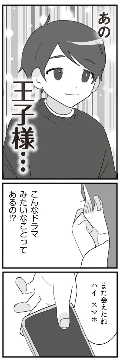 あの王子様…