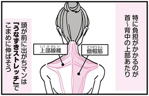 座り仕事で首と肩まわりがバッキバキ！こまめにやりたい「うなずきストレッチ」／筋肉ゼロでもできるズボラゆるトレ（3）