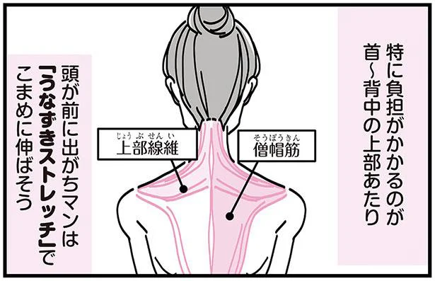 バキバキの首肩にうなずきストレッチ