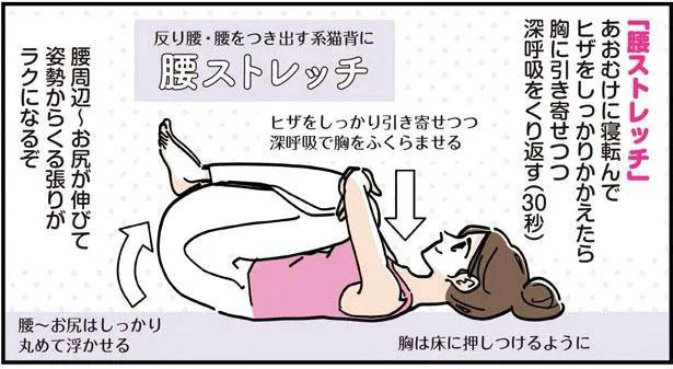 反り腰&猫背に効く腰ストレッチ