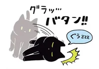 思ってたのとだいぶ違う!?飼い猫の寝姿が豪快すぎ！／黒猫ろんと暮らしたら（3）