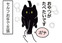 「おやつがたべたいです」ポテッとお手をしてくる飼い猫にキュン！／黒猫ろんと暮らしたら（4）