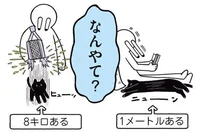 も、もしかしてうちの子が大きい？体重8キロ、伸びると1メートルになる黒猫／黒猫ろんと暮らしたら（6）