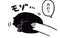 黒猫がゆえの間違いあるある？「そこおしりなんですけど」／黒猫ろんと暮らしたら（8）